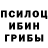 Псилоцибиновые грибы MAGIC MUSHROOMS YEVHENIY PROKOPOVYCH