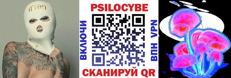Псилоцибиновые грибы Cubensis  Вичуга 